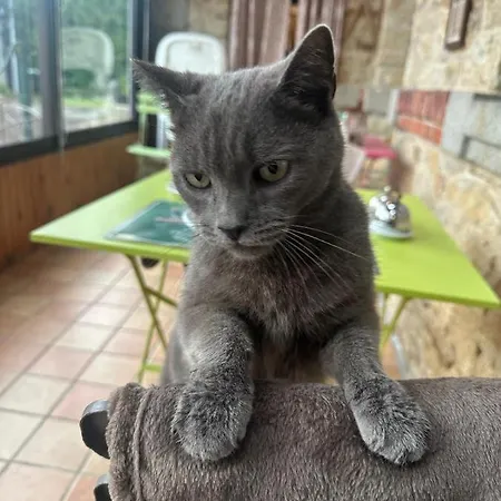 Σπίτι διακοπών La Petite Ecole De La Baie *
