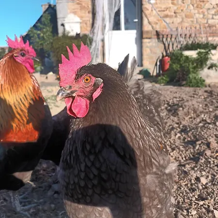 La Petite Ecole De La Baie Σπίτι διακοπών *