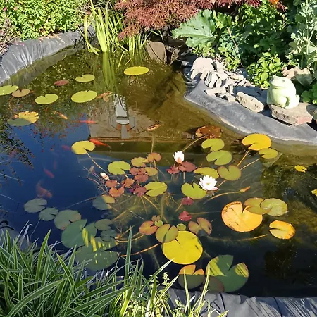 La Petite Ecole De La Baie Ποντορσόν