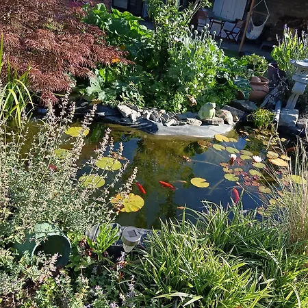 La Petite Ecole De La Baie