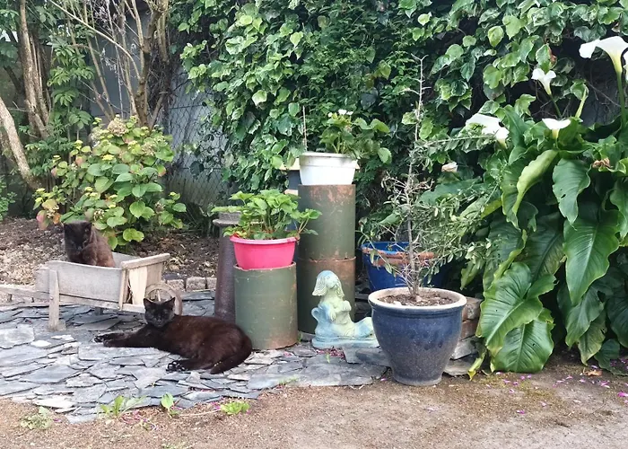 La Petite Ecole De La Baie * Pontorson