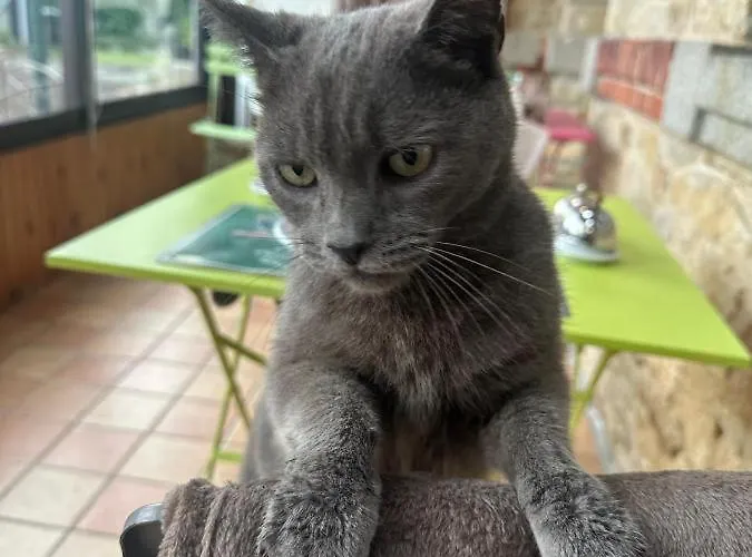 Semesterbostad La Petite Ecole De La Baie *