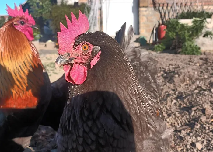 La Petite Ecole De La Baie Сasa de vacaciones *