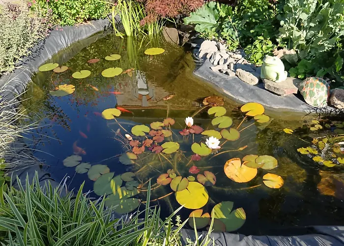 La Petite Ecole De La Baie Pontorson