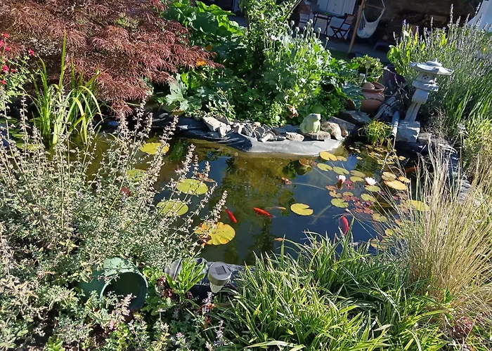 La Petite Ecole De La Baie